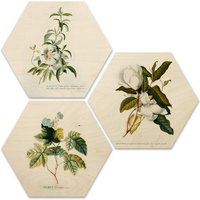 Wall-Art Mehrteilige Bilder »Botanische Collage Blumen Floral«