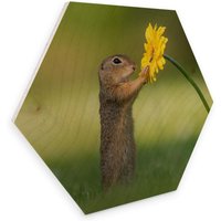 Wall-Art Holzbild »Eichhörnchen Holzbild Blumen«