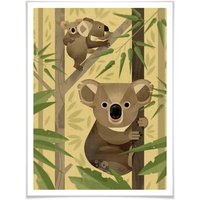 Wall-Art Poster »Koala«