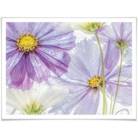 Wall-Art Poster »Florale Lila Blau Blumen Kunst«