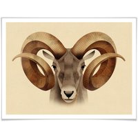 Wall-Art Poster »Urial«