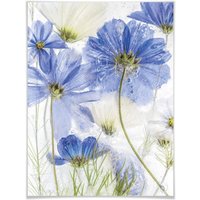 Wall-Art Poster »Blue Frozen Winter Blüten«