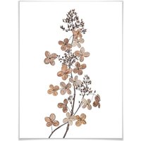 Wall-Art Poster »Hortensie«