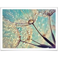 Wall-Art Poster »Magische Pusteblume«