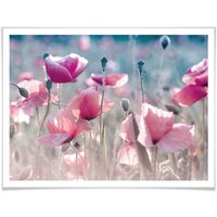 Wall-Art Poster »Mohnblumen Wiese«