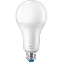 Colors LED-Lampe 18