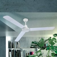 Deckenventilator Ferro mit Schalter