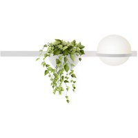 Vibia Palma 3702 Wandleuchte