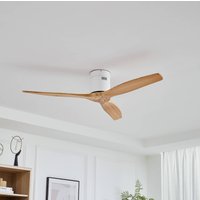 Lucande Deckenventilator Vindur