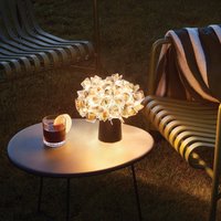 Slamp Clizia Mama Non Mama Tisch LED gold/schwarz