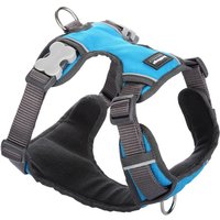 Hundegeschirr Red Dingo Polsterung Turquoise XL