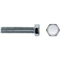 Schraubenkasten CELO 5 x 10 mm Sechseckig 500 Stück Verzinkt